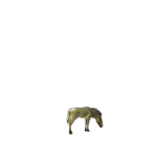 animal, creature, dragon, furniture transparent PNG cut-out