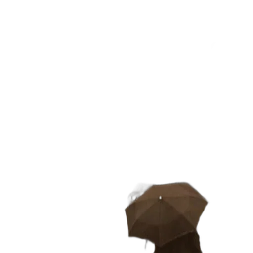 hat, umbrella, staff, crown transparent PNG cut-out