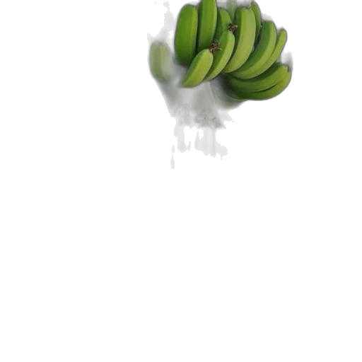 food, weapon, tree, crown transparent PNG cut-out