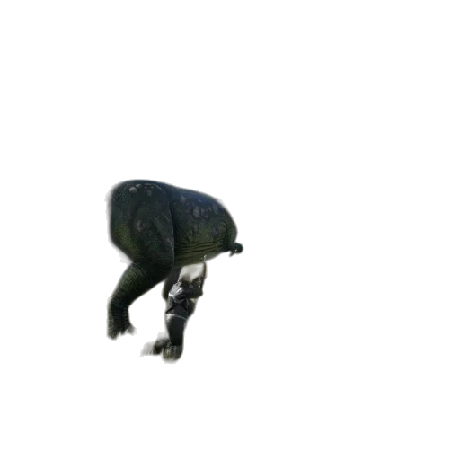 animal, creature, hat, umbrella transparent PNG cut-out