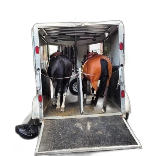 animal, two, horses, trailer transparent PNG cut-out