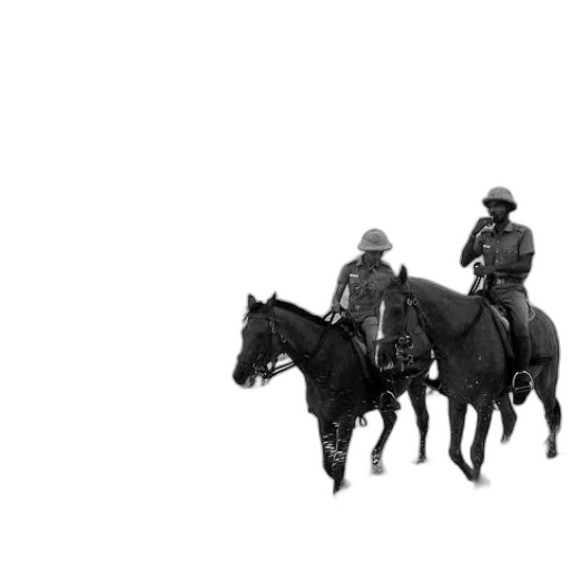 hat, animal, weapon, staff transparent PNG cut-out