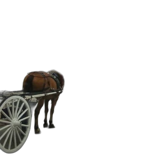 furniture, car, animal, weapon transparent PNG cut-out