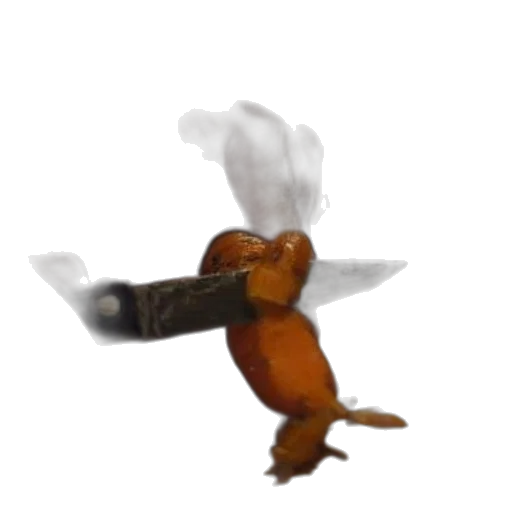 food, dragon, staff, animal transparent PNG cut-out