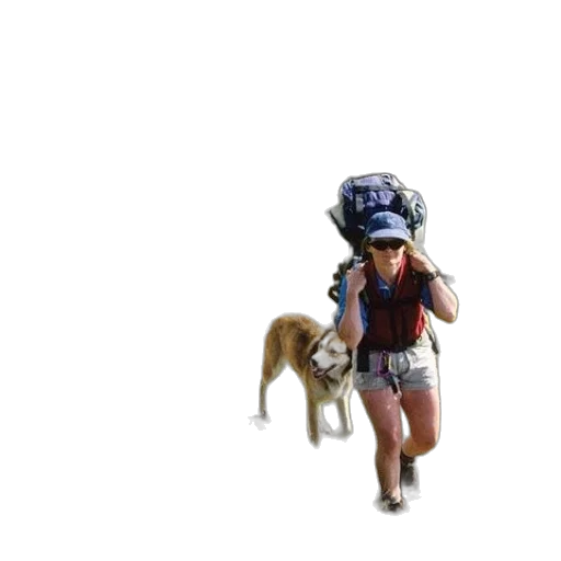 animal, creature, staff, hat transparent PNG cut-out