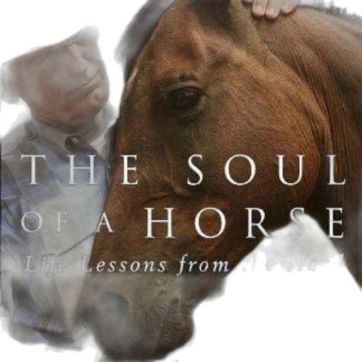 creature, concept art, soul, horse transparent PNG cut-out