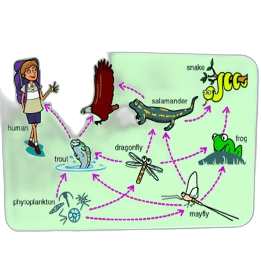 concept art, colorful, diagram, illustrating transparent PNG cut-out