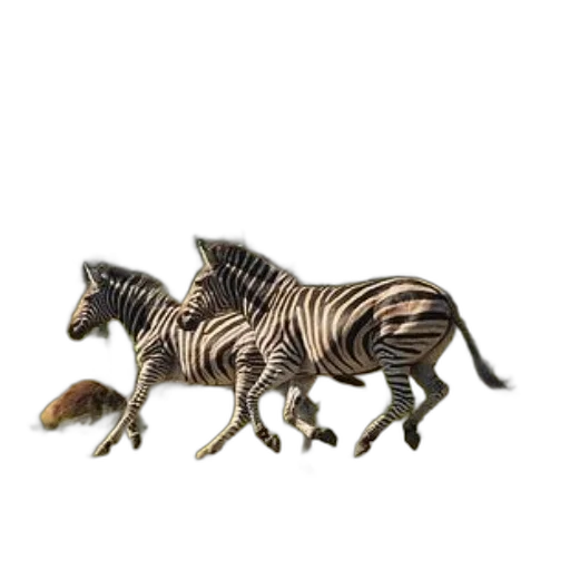 animal, creature, dragon, jewelry transparent PNG cut-out