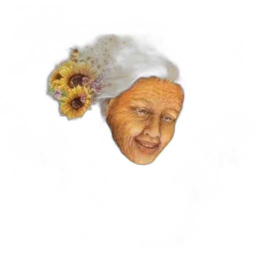face, flower, mask, crown transparent PNG cut-out