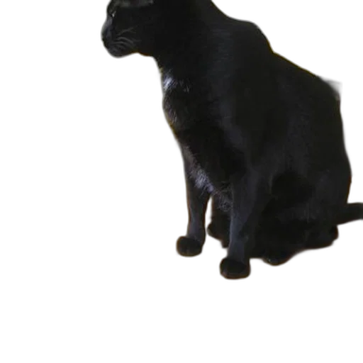 animal, staff, creature, robot transparent PNG cut-out
