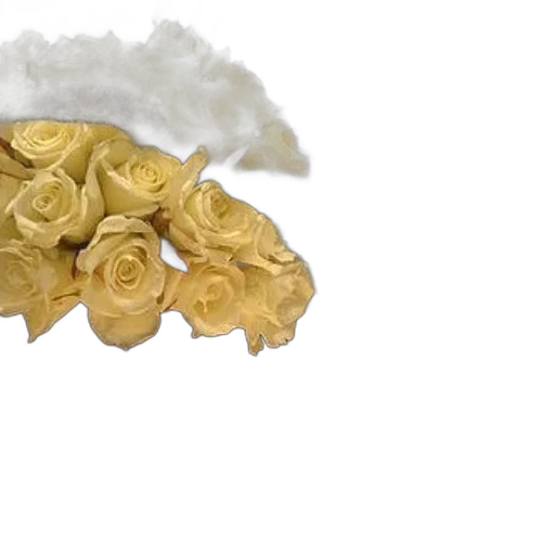 crown, jewelry, hat, mask transparent PNG cut-out