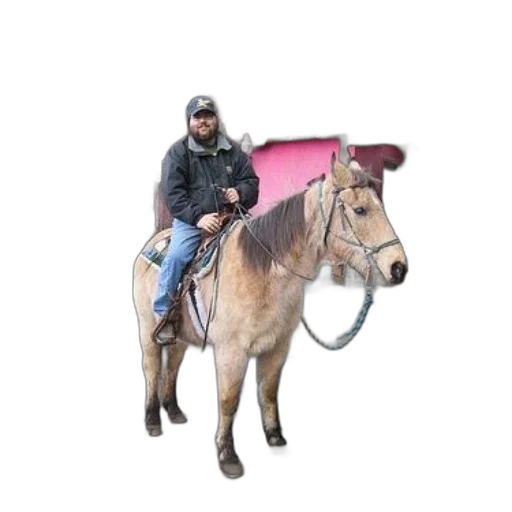 jacket, animal, staff, hat transparent PNG cut-out