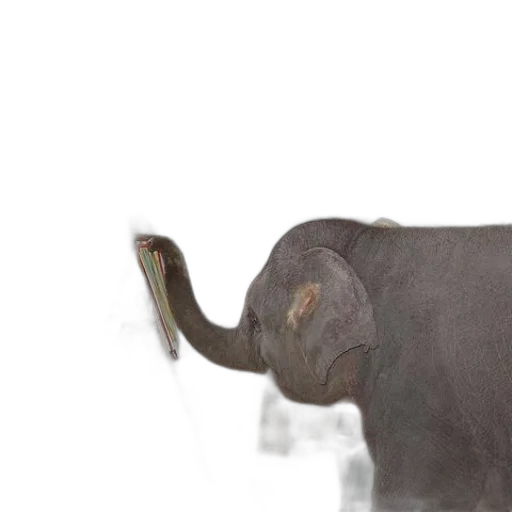 animal, creature, staff, hat transparent PNG cut-out