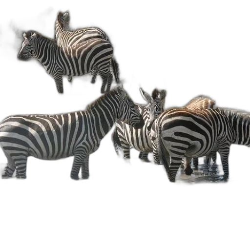 animal, jewelry, furniture, 3d render transparent PNG cut-out