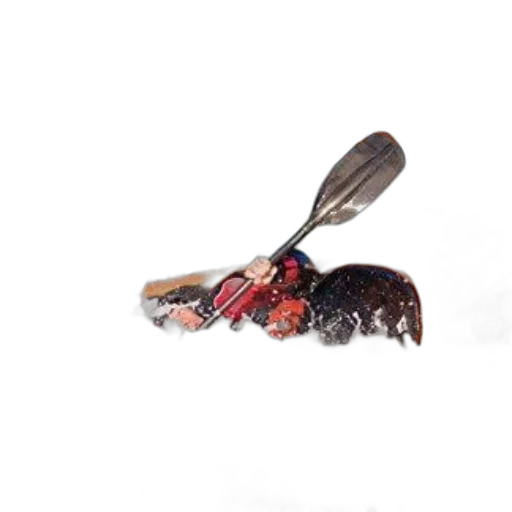 animal, hair, shoes, weapon transparent PNG cut-out