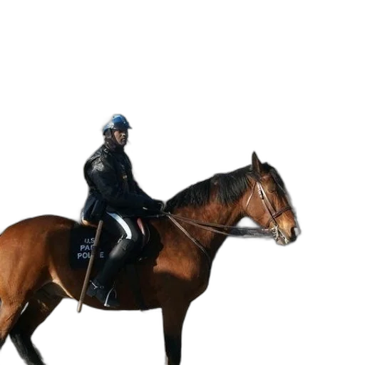 animal, jacket, hat, staff transparent PNG cut-out