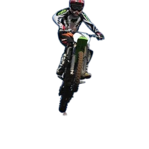 animal, staff, pixel art, photorealistic transparent PNG cut-out