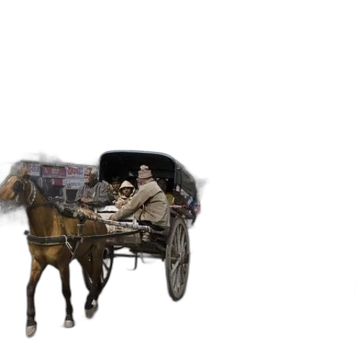 car, animal, hat, furniture transparent PNG cut-out
