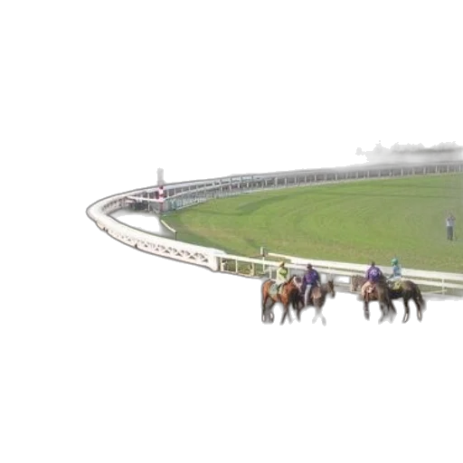 photorealistic, 3d render, horses, jockeys transparent PNG cut-out