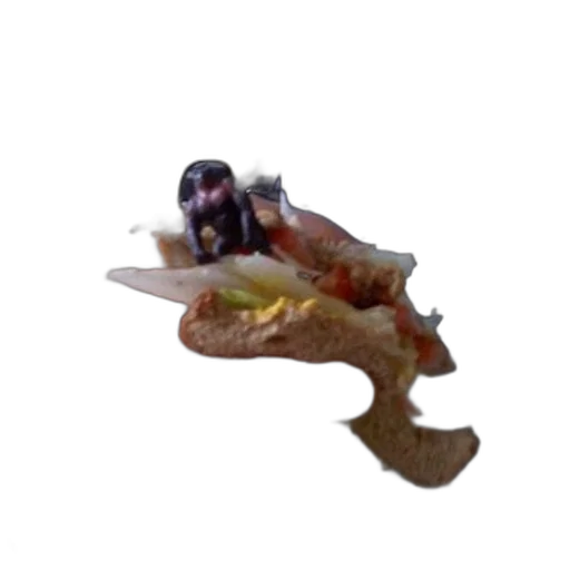 creature, animal, dragon, staff transparent PNG cut-out