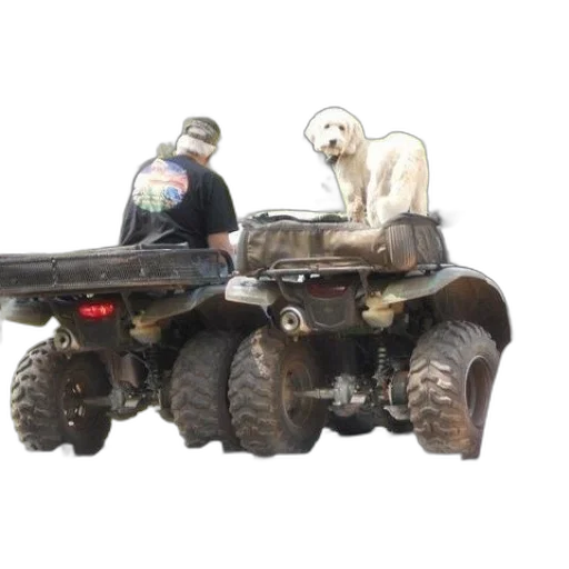 car, animal, robot, 3d render transparent PNG cut-out