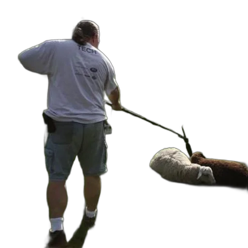 staff, weapon, animal, umbrella transparent PNG cut-out