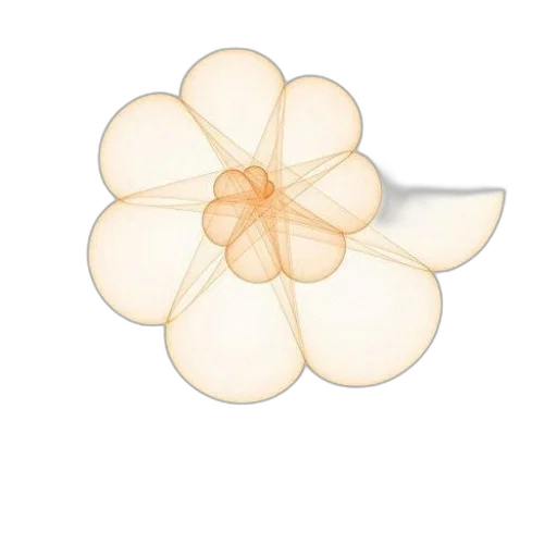 flower, crown, jewelry, umbrella transparent PNG cut-out