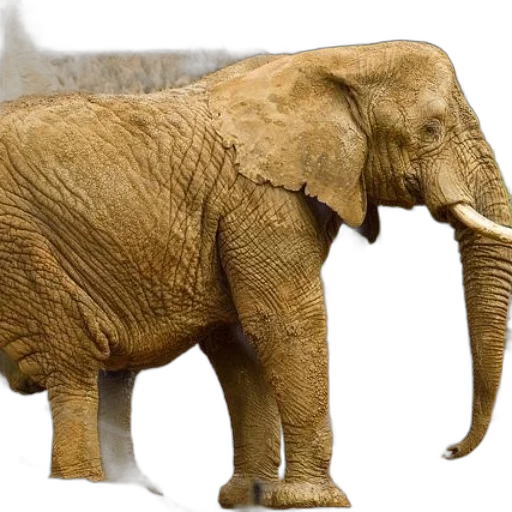 animal, creature, weapon, photorealistic transparent PNG cut-out