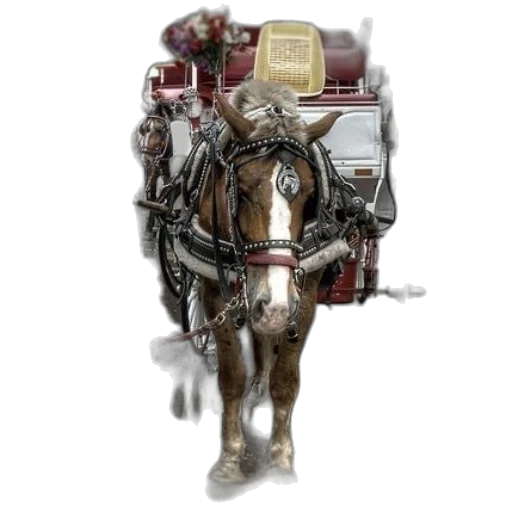 robot, animal, staff, jewelry transparent PNG cut-out