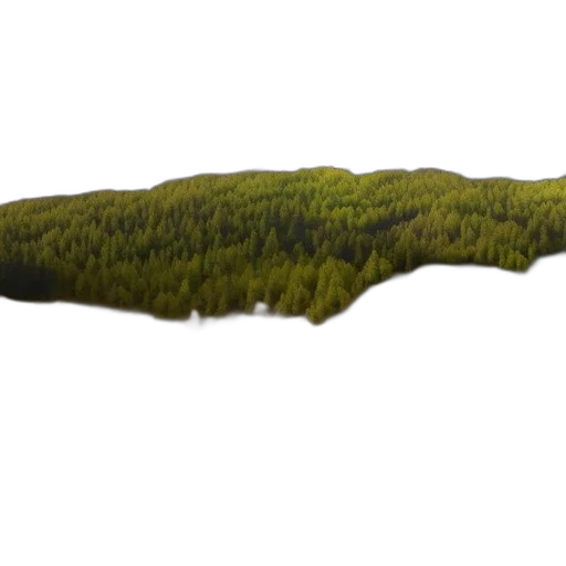 tree, hair, staff, sword transparent PNG cut-out