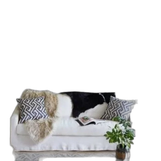 furniture, animal, staff, crown transparent PNG cut-out