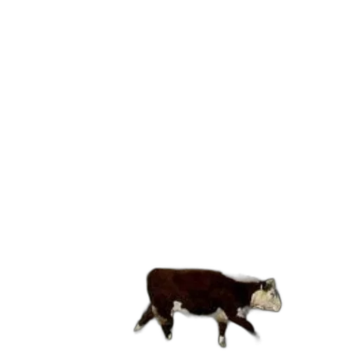 animal, creature, food, furniture transparent PNG cut-out