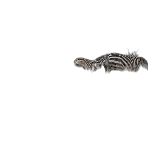 hair, animal, creature, jewelry transparent PNG cut-out