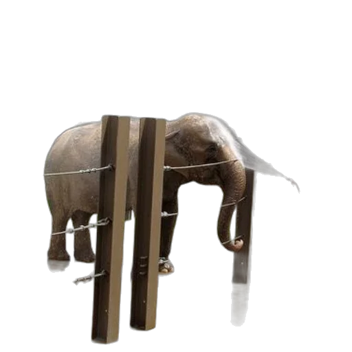 animal, furniture, staff, weapon transparent PNG cut-out