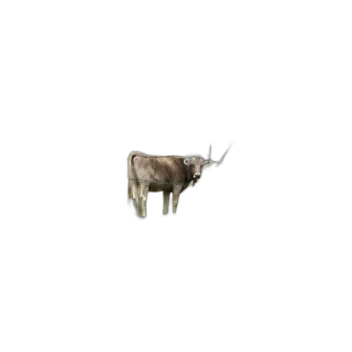 animal, creature, crown, hat transparent PNG cut-out