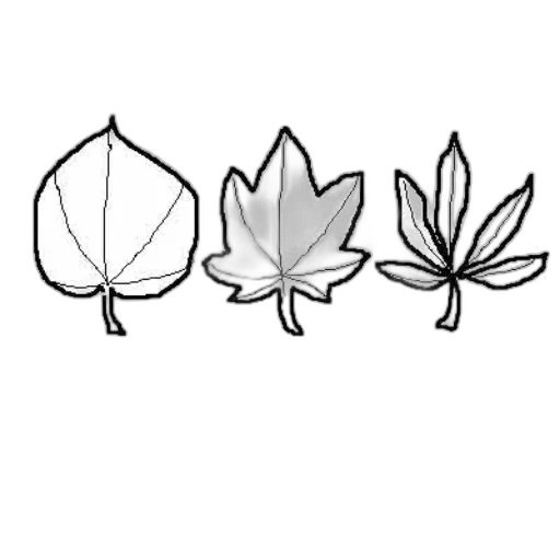 crown, flower, jewelry, concept art transparent PNG cut-out