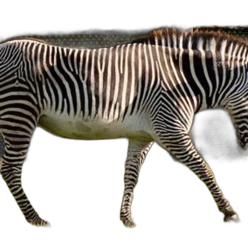 animal, creature, staff, weapon transparent PNG cut-out