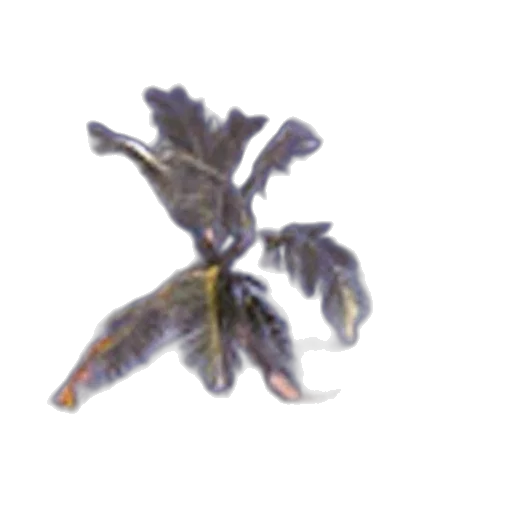 flower, staff, crown, dragon transparent PNG cut-out