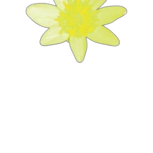 flower, crown, jewelry, staff transparent PNG cut-out