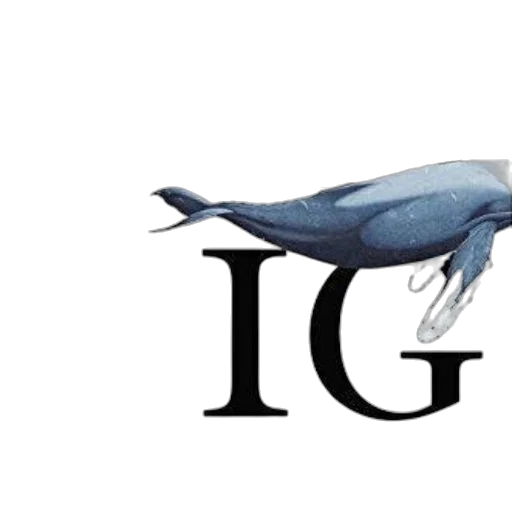 animal, creature, finish, big transparent PNG cut-out