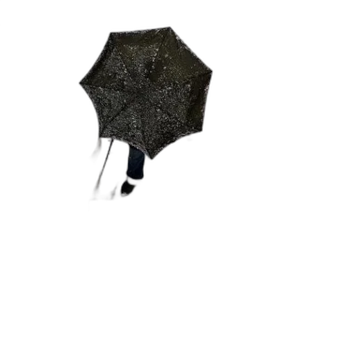 umbrella, staff, jacket, hat transparent PNG cut-out
