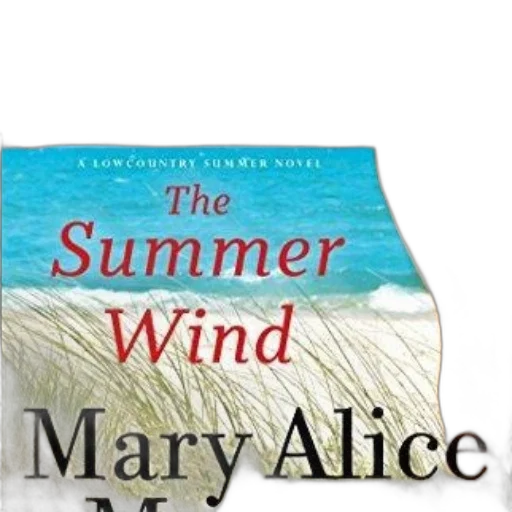 beach, summer, wind, mary transparent PNG cut-out