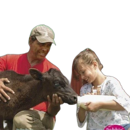 animal, creature, book, cover transparent PNG cut-out