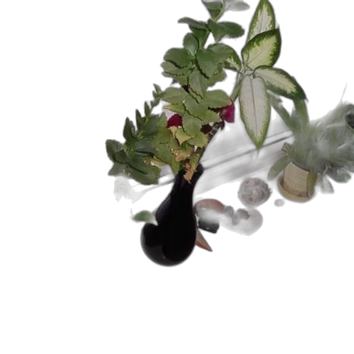 jewelry, crown, flower, hat transparent PNG cut-out