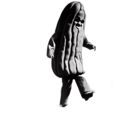 jacket, creature, animal, dress transparent PNG cut-out