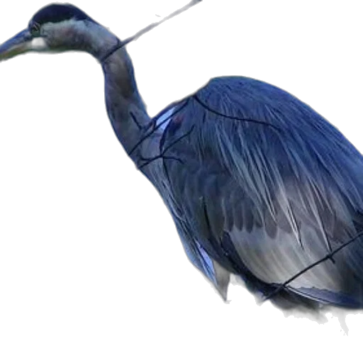 animal, staff, creature, umbrella transparent PNG cut-out