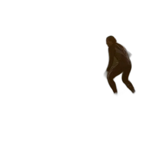 creature, animal, shoes, hair transparent PNG cut-out