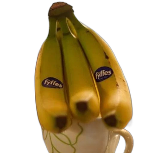 food, bottle, crown, animal transparent PNG cut-out