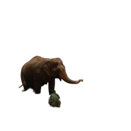 animal, creature, staff, weapon transparent PNG cut-out