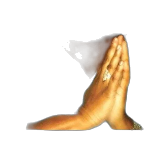 hat, shoes, crown, food transparent PNG cut-out